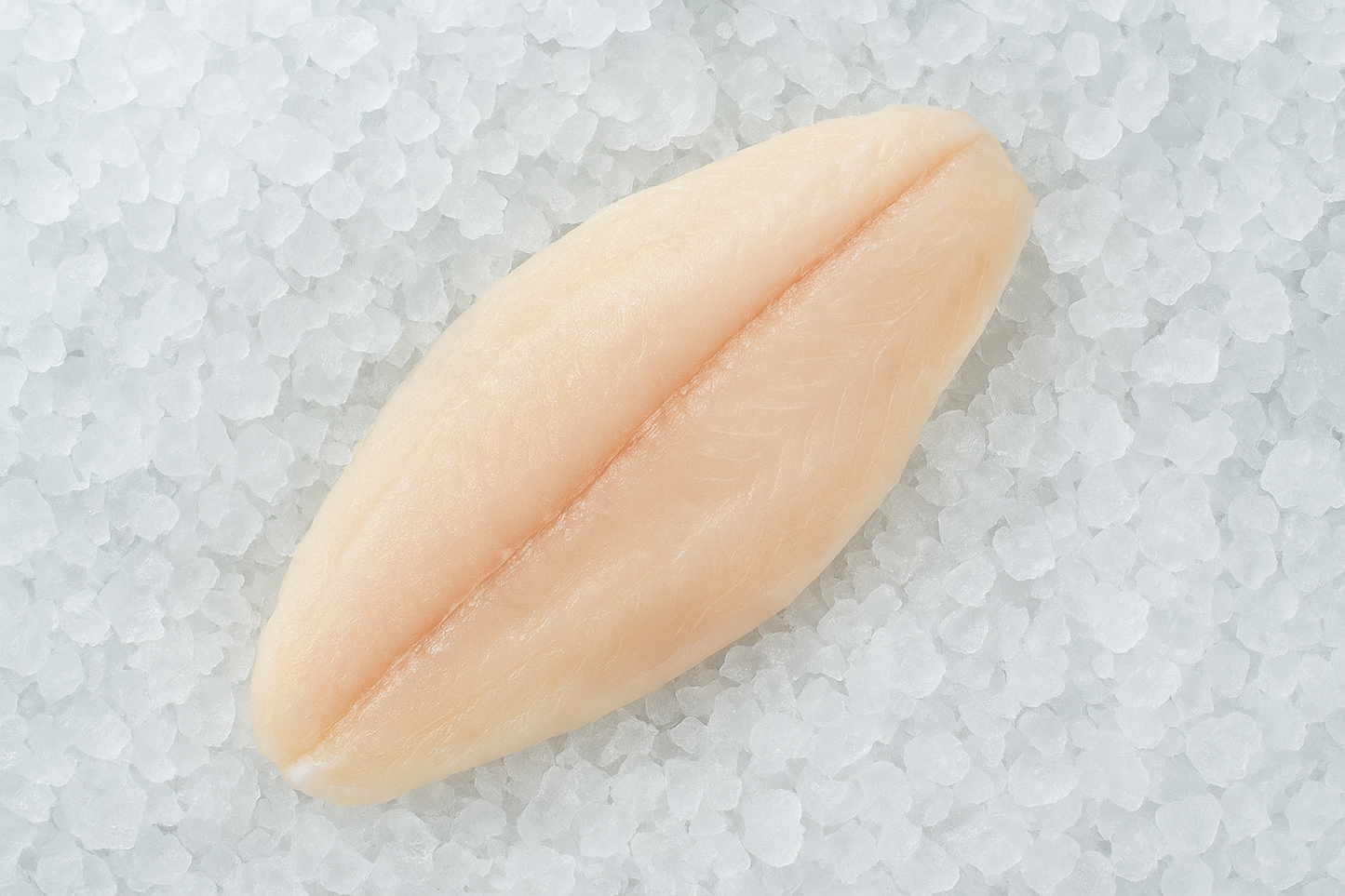 Totoaba Filete - 250 g